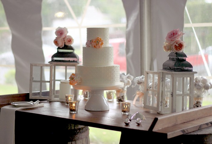 The Couture Cakery - Wedding Cake, Milestones on the River